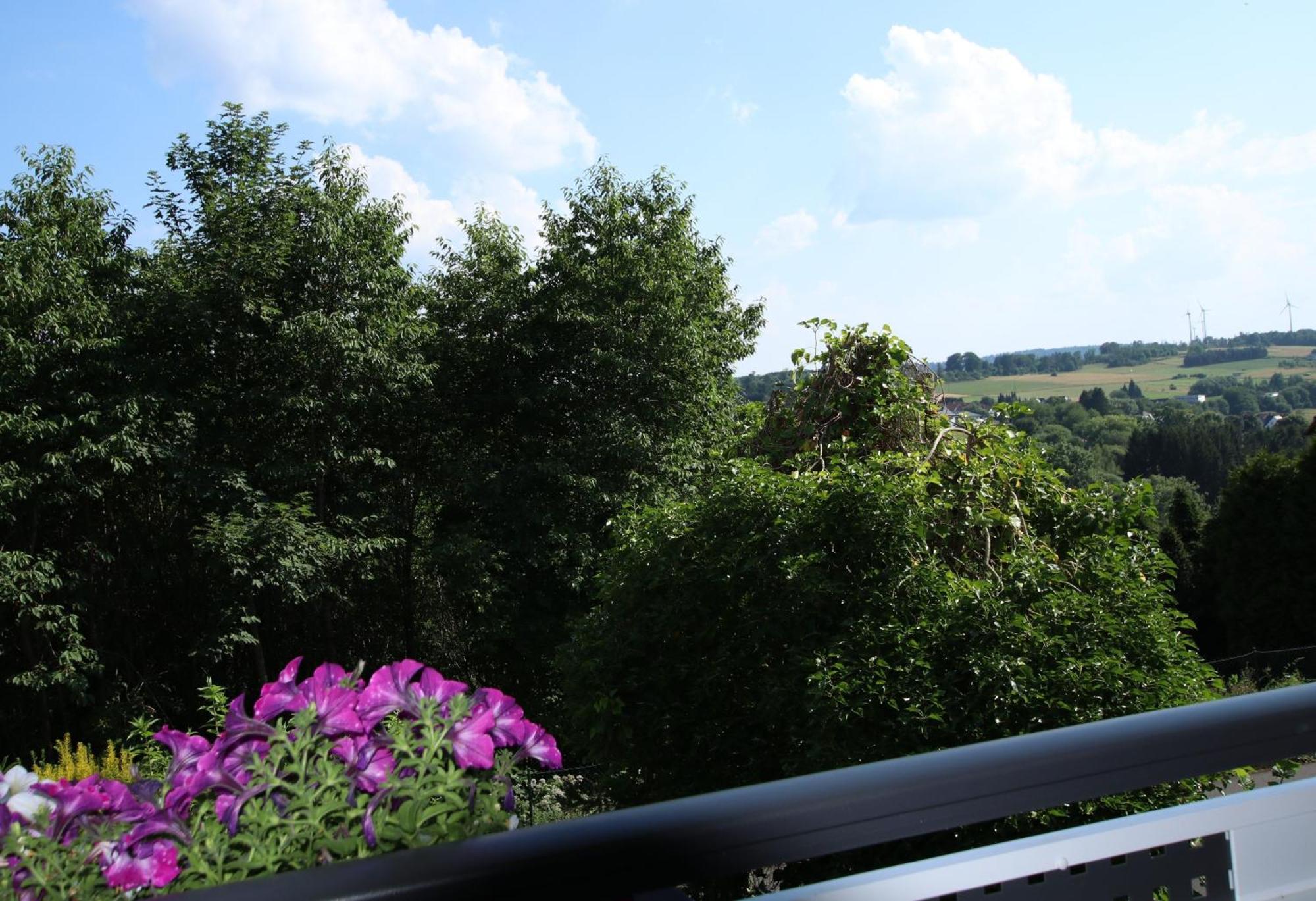 Ferienwohnung Zum Rosengarten West015 Westerwald Driedorf Екстер'єр фото