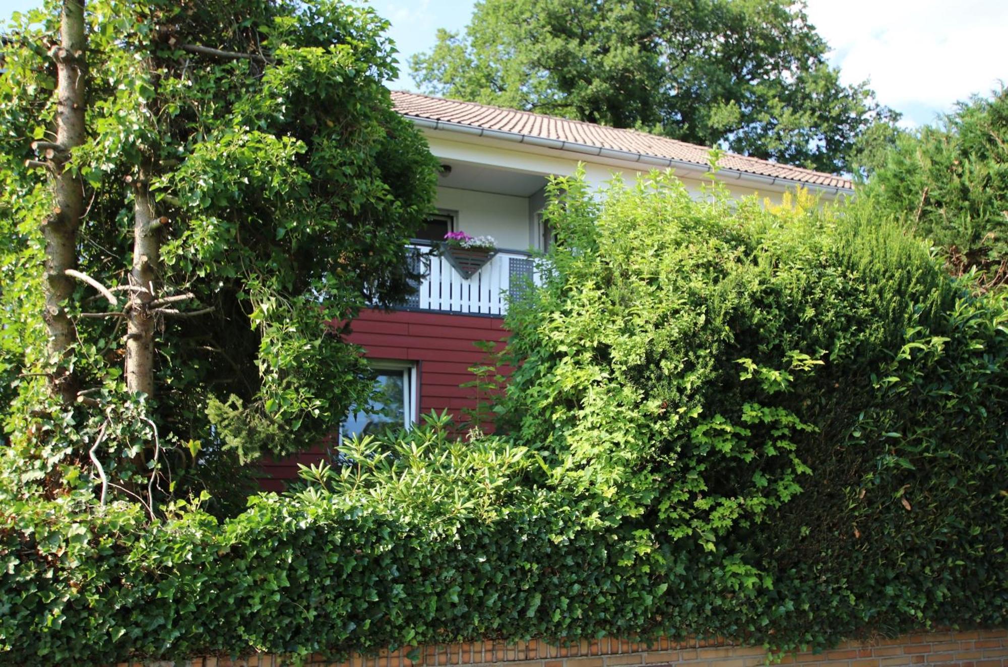 Ferienwohnung Zum Rosengarten West015 Westerwald Driedorf Екстер'єр фото